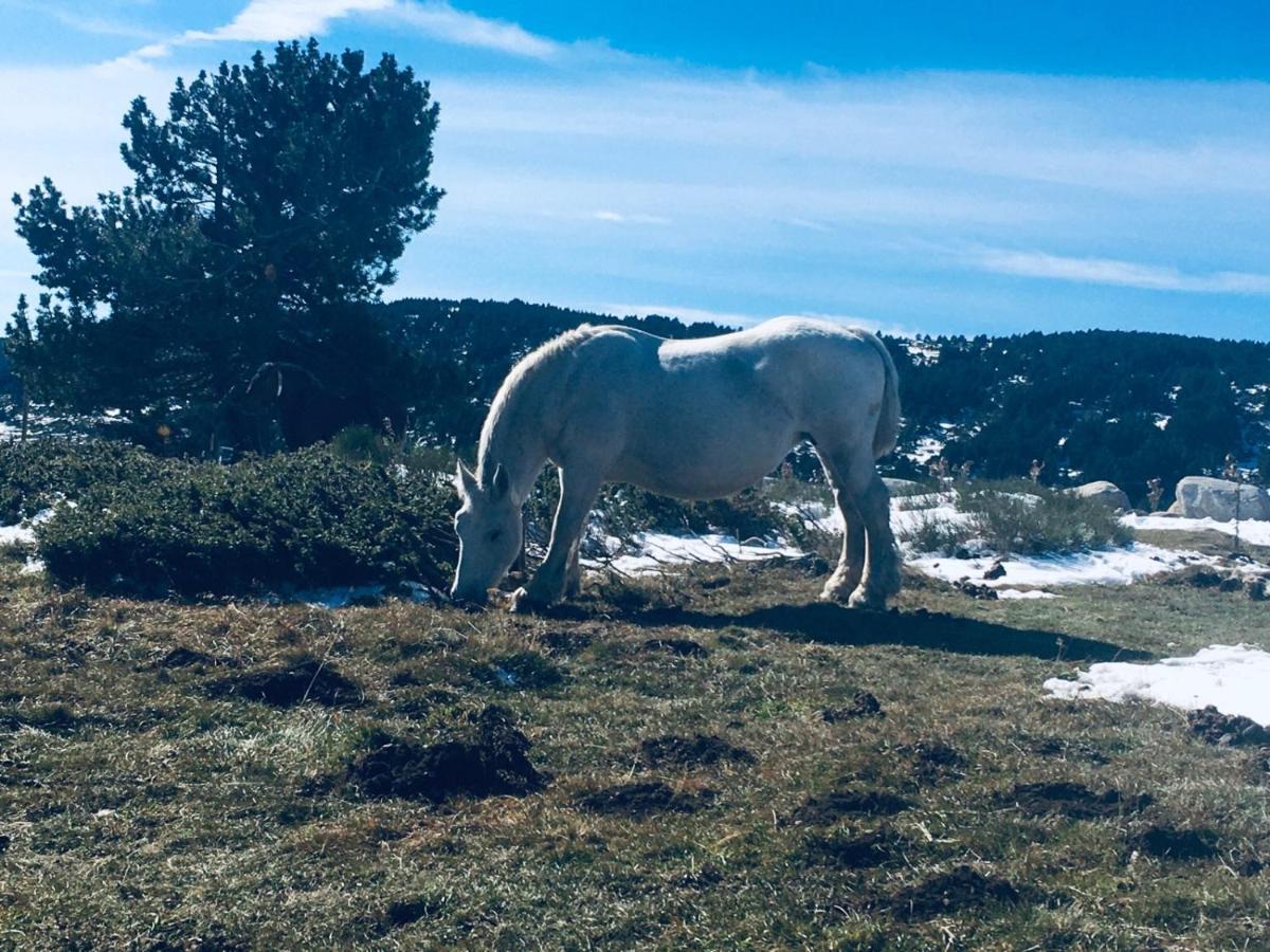 La Pradella Bolquere Pyrenees 2000公寓 外观 照片