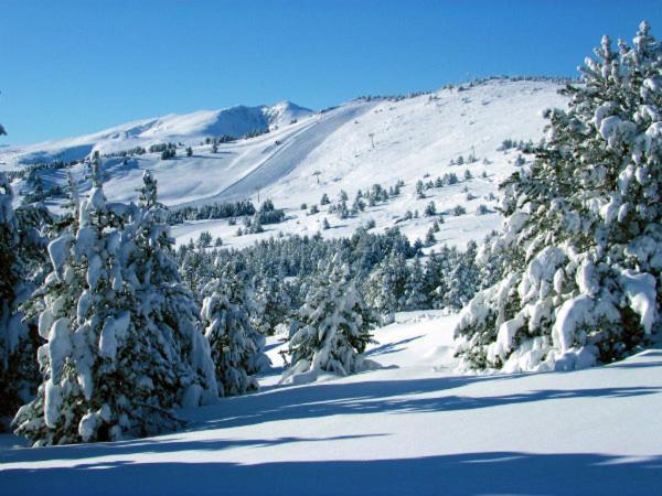 La Pradella Bolquere Pyrenees 2000公寓 外观 照片